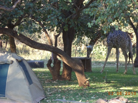 Chipata Campsite 1
