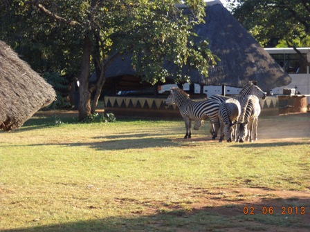 Chipata Campsite 2