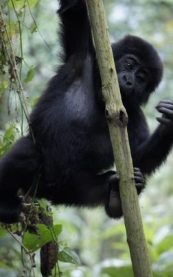 image-9.jpg