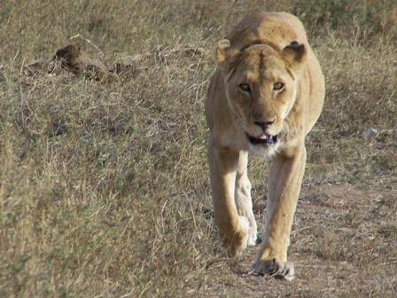 Image by:  Michelle Lewis