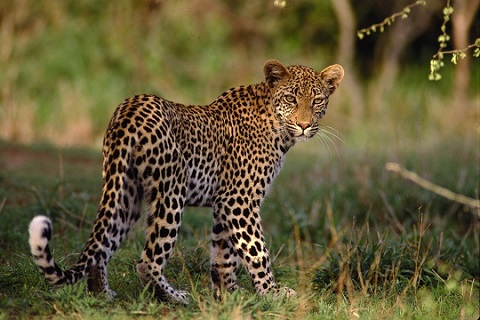 Image by: SA Tourism