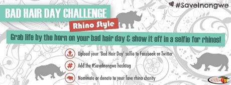 bad-hair-day-fb-final.jpg