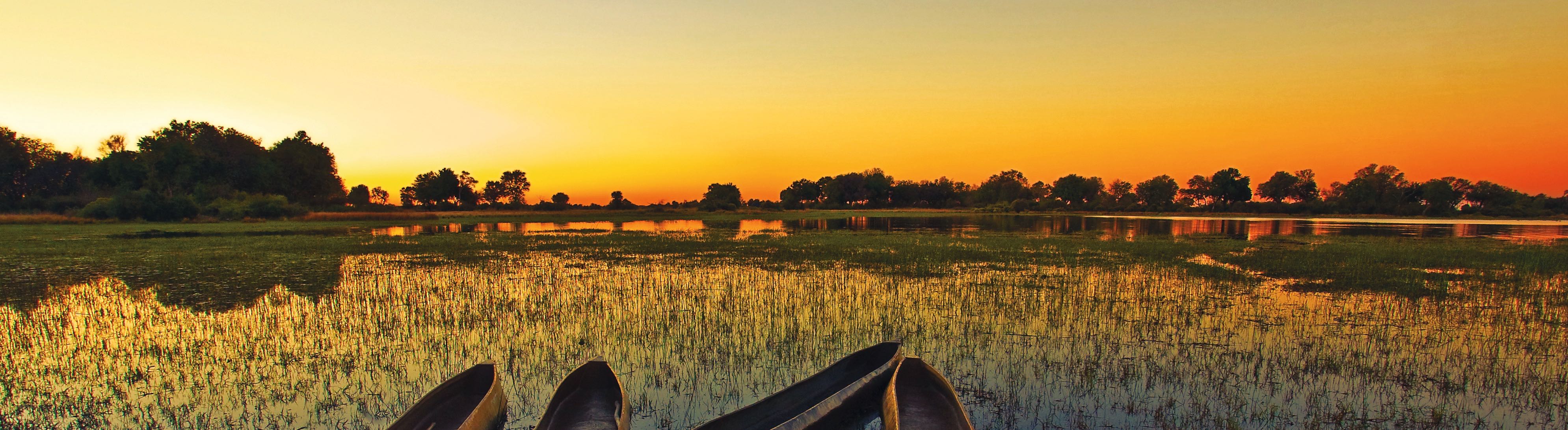 Top Safari Hotspots to visit on your African Adventure