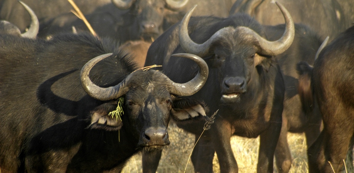 Africa’s Most Instagrammable Destinations