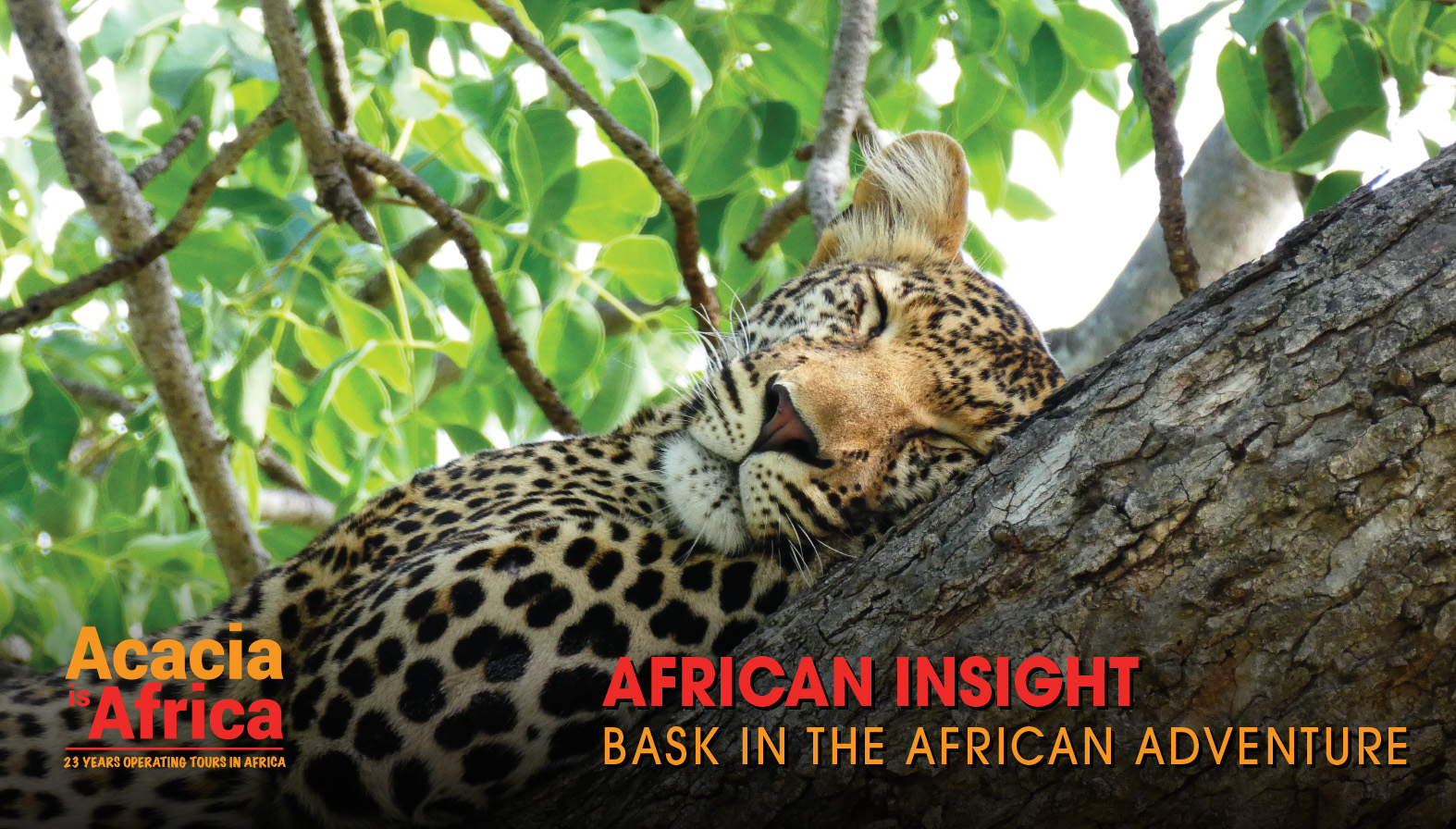 Travelling for YOU! Finding yourself in Africa in 2019
