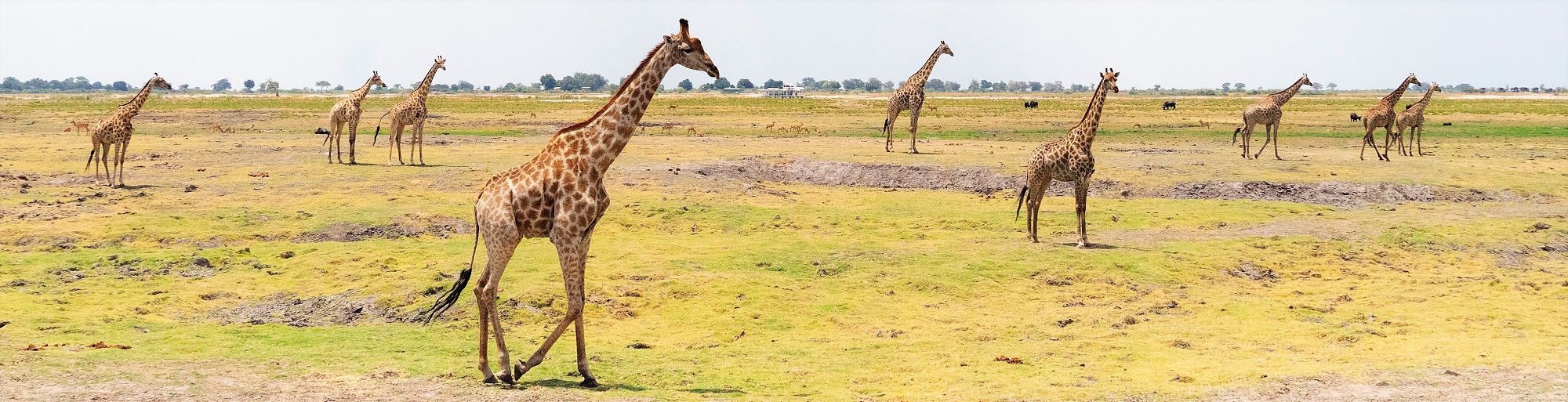 An African Camping Overland Tour: Everything you need to know!