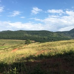 Mlilwane Views